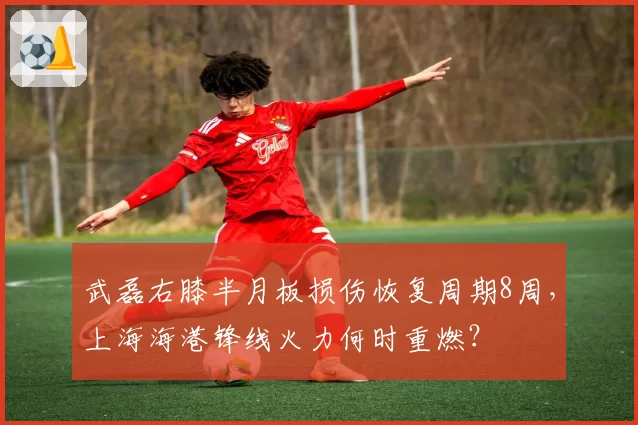 武磊右膝半月板损伤恢复周期8周,上海海港锋线火力何时重燃?