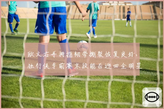 欧文右手拇指韧带撕裂恢复良好，独行侠季前赛末段能否迎回全明星？