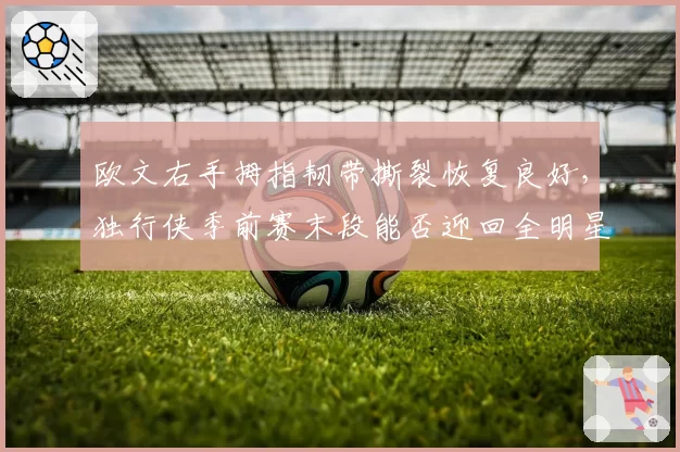 欧文右手拇指韧带撕裂恢复良好，独行侠季前赛末段能否迎回全明星？