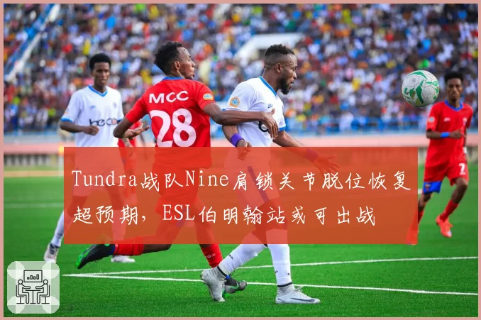 Tundra战队Nine肩锁关节脱位恢复超预期，ESL伯明翰站或可出战