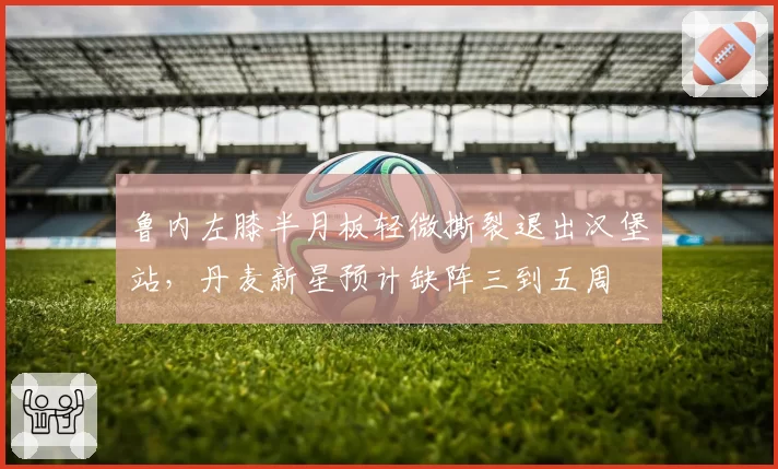 鲁内左膝半月板轻微撕裂退出汉堡站,丹麦新星预计缺阵三到五周