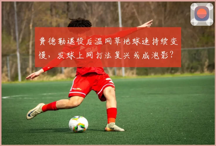 费德勒退役后温网草地球速持续变慢，发球上网打法复兴或成泡影？
